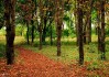 World花式单板夜间艺术节：跨界合作吸引年轻文化圈（英语词汇混用）