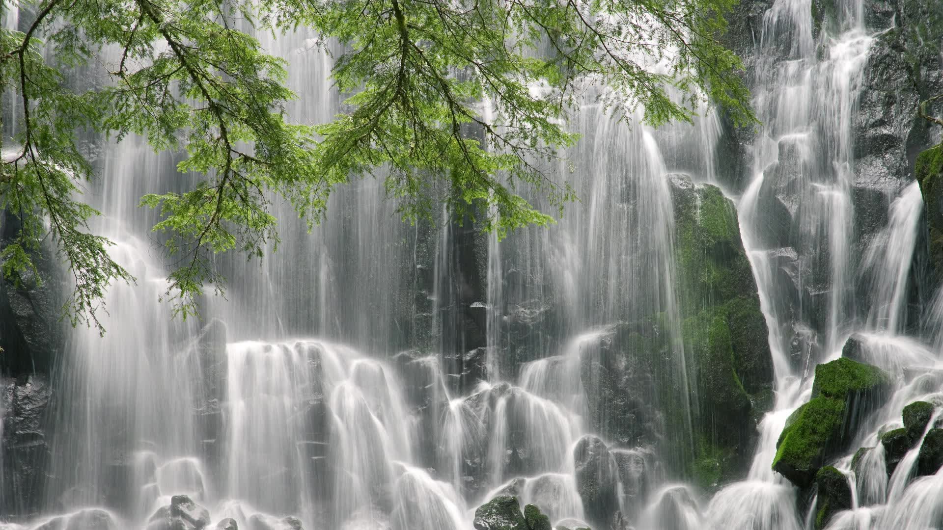 世界举重康复在线案例评审:远程讨论促进经验共享,全世界举重比赛视频2021