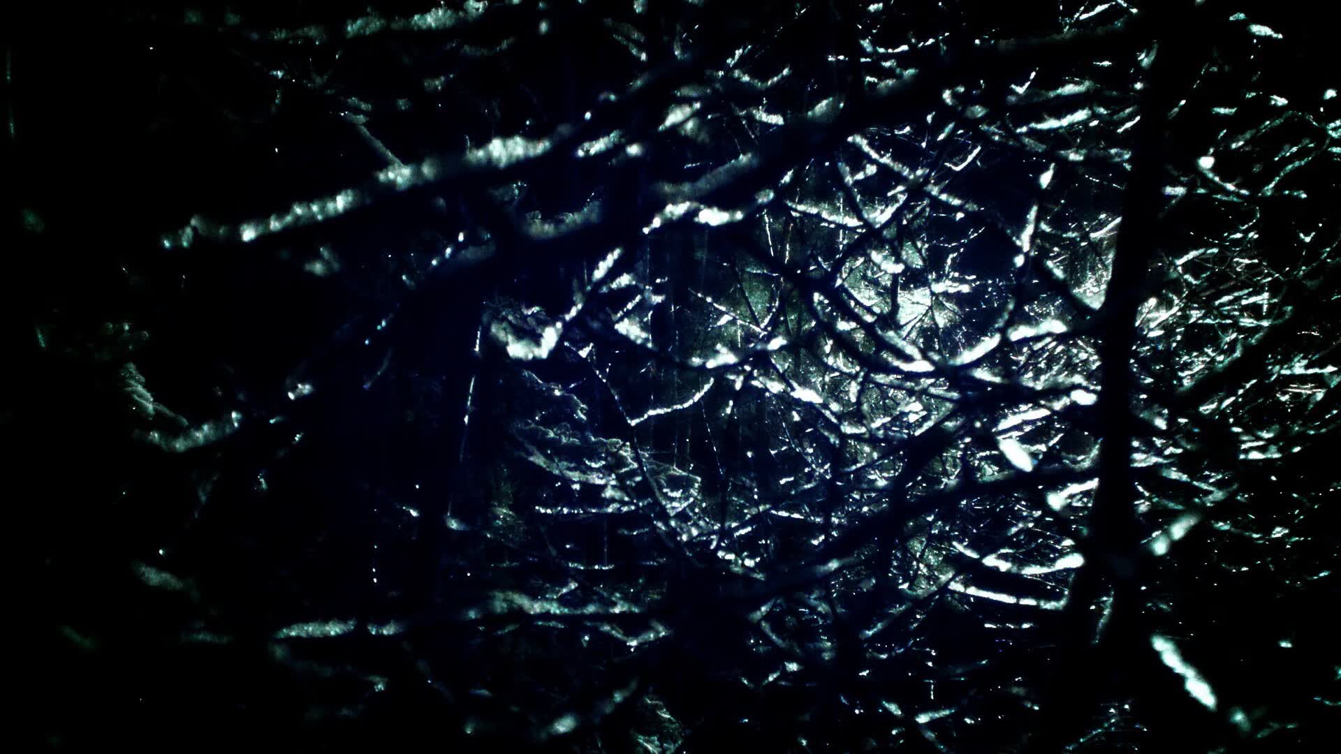 世界登山青年导师生态教育示范片首映礼举行，世界登山协会